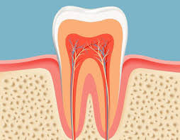 Pan Dentistry
